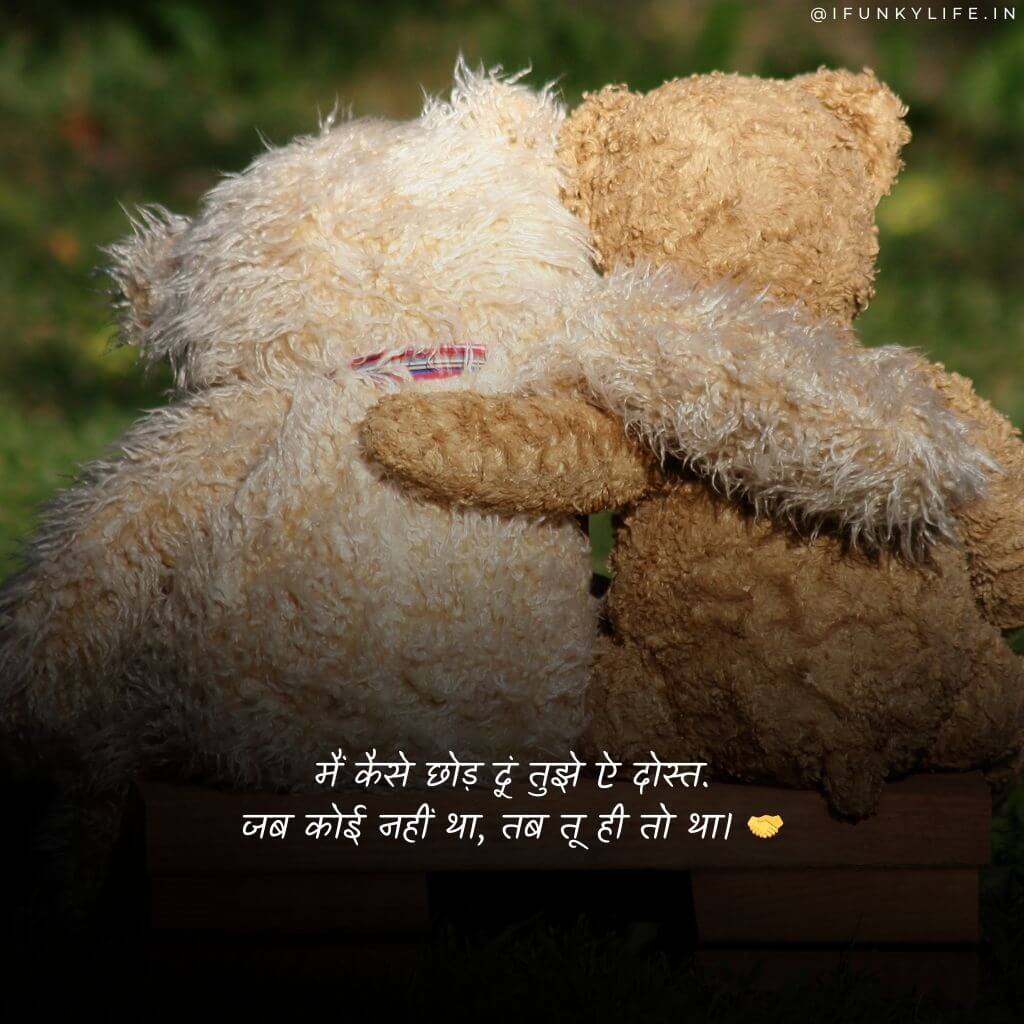 Friendship Quotes in Hindi