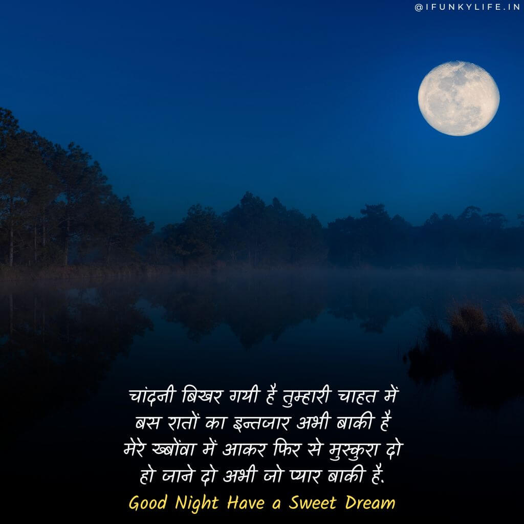 Love Good Night Shayari