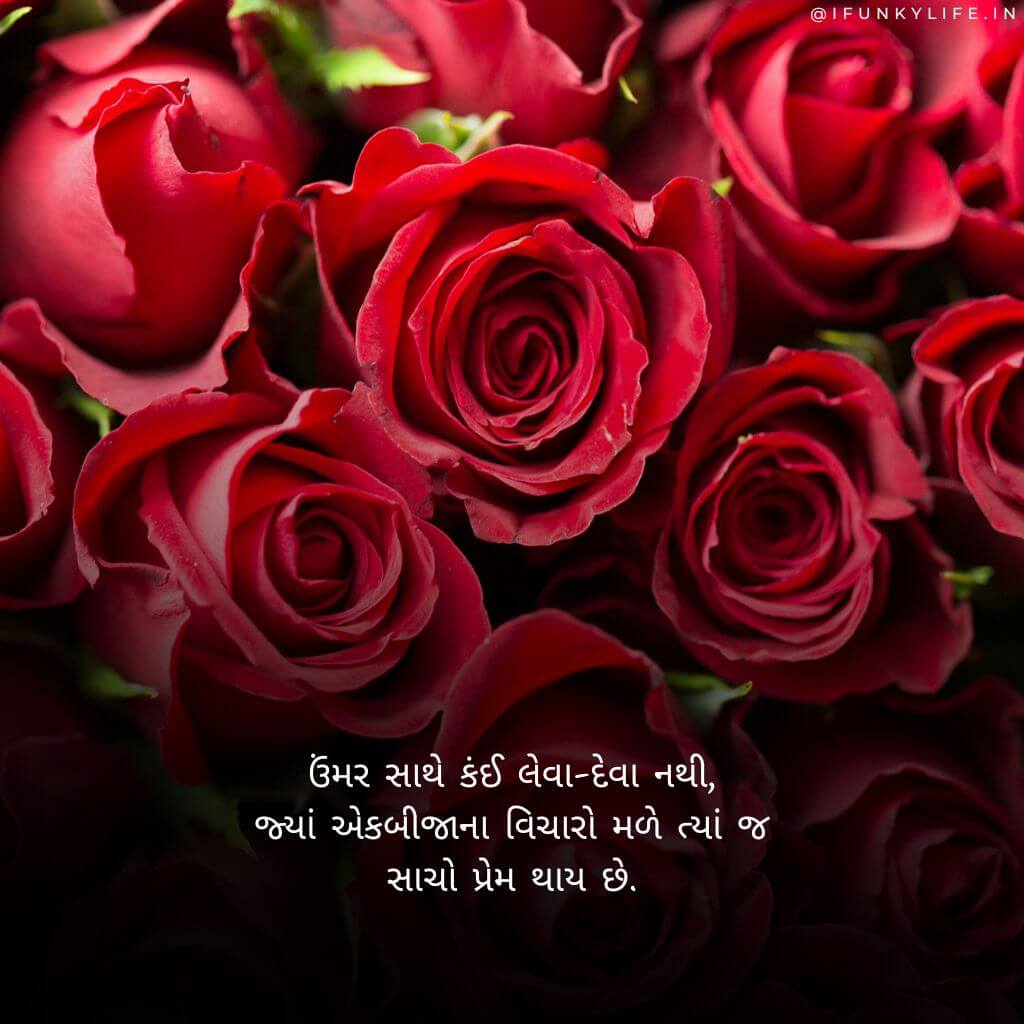 Instagram Gujarati Love Shayari